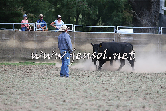 Taralga2015_1265