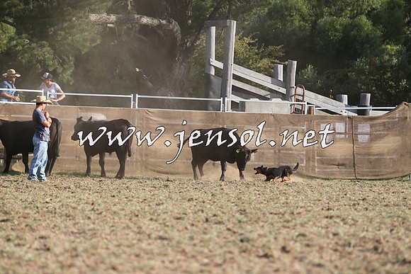 Taralga2015_1318