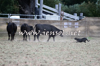 Taralga2015_1257
