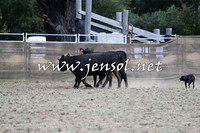 Taralga2015_1251