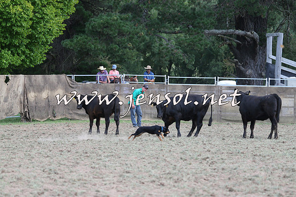 Taralga2015_1295