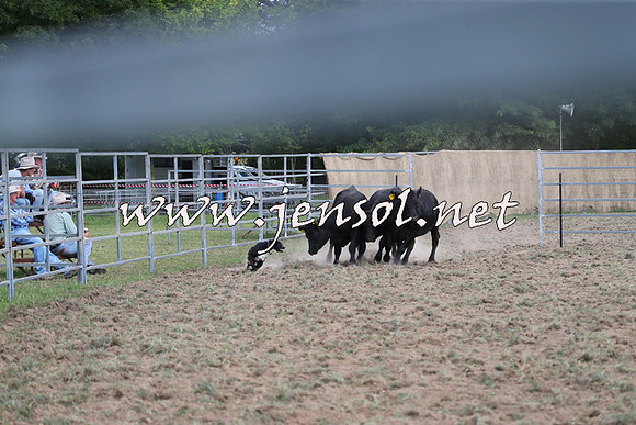 Taralga2015_1282