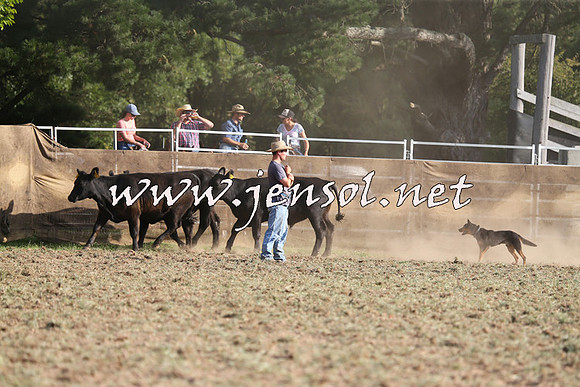 Taralga2015_1335