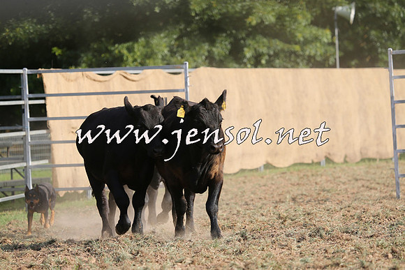 Taralga2015_1347