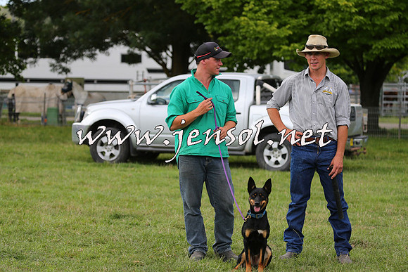 Taralga2015_1287
