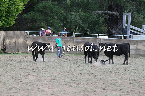 Taralga2015_1297
