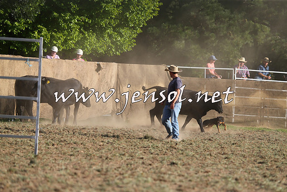 Taralga2015_1340