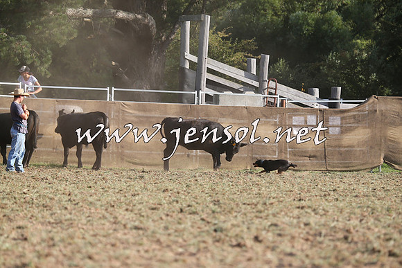 Taralga2015_1320