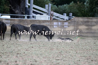 Taralga2015_1261