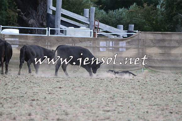 Taralga2015_1261