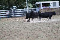 Taralga2015_1203