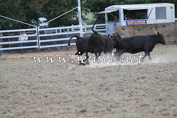 Taralga2015_1203