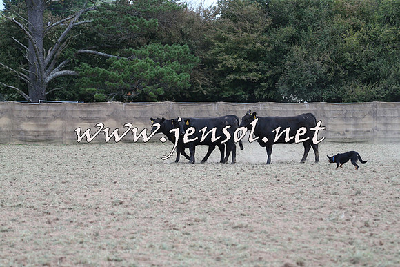 Taralga2015_1291
