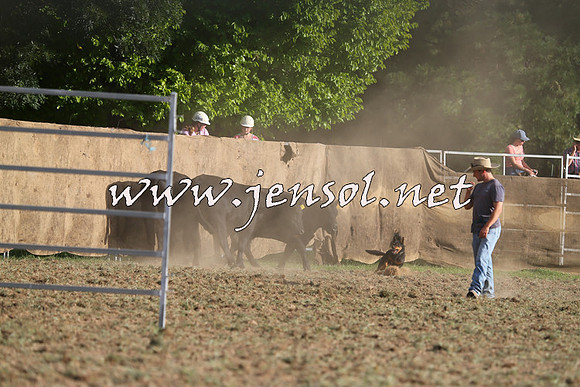 Taralga2015_1339