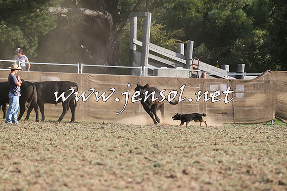 Taralga2015_1326