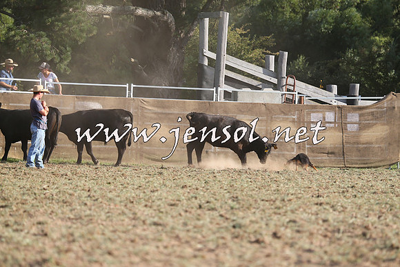 Taralga2015_1329