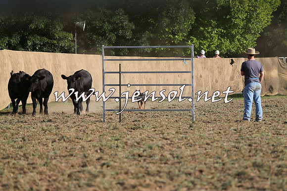 Taralga2015_1343