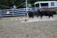 Taralga2015_1204