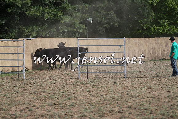 Taralga2015_1308