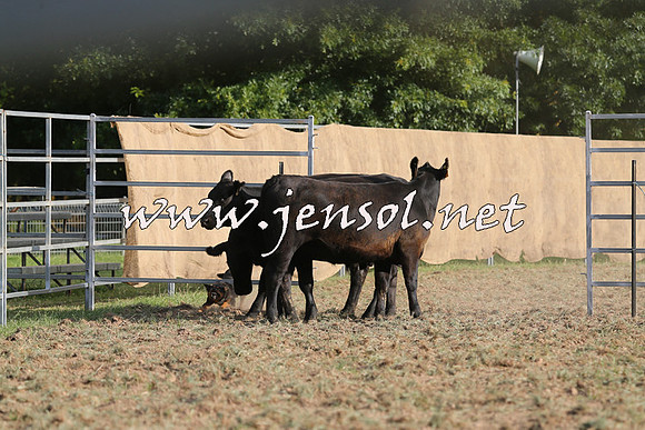 Taralga2015_1365
