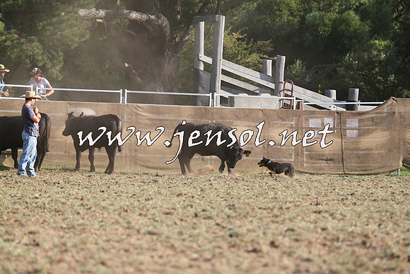 Taralga2015_1319