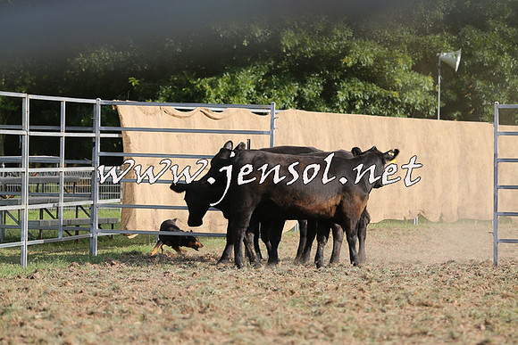 Taralga2015_1362