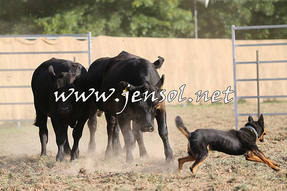 Taralga2015_1351