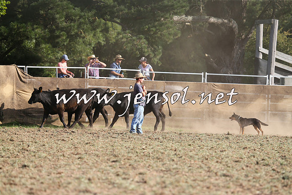 Taralga2015_1332
