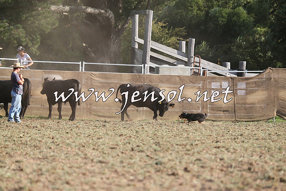 Taralga2015_1321