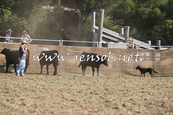 Taralga2015_1316