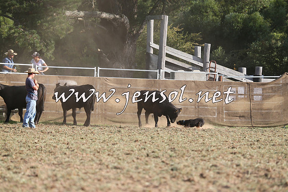 Taralga2015_1327
