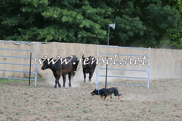 Taralga2015_1299