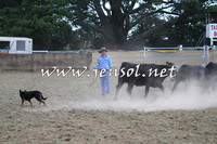 Taralga2015_1228