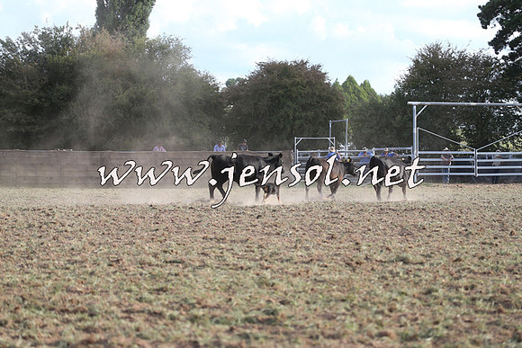 Taralga2015_1313