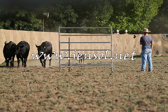 Taralga2015_1342