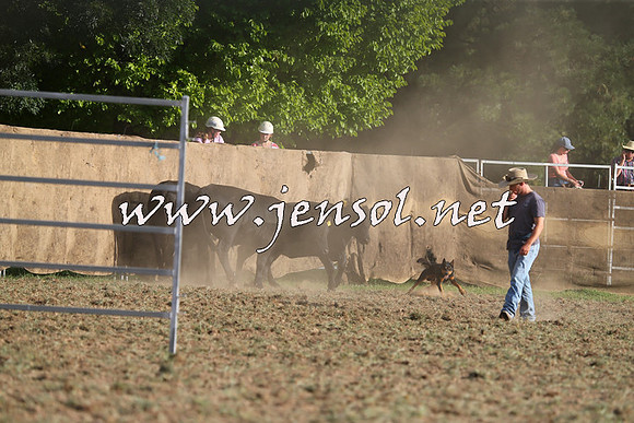 Taralga2015_1338