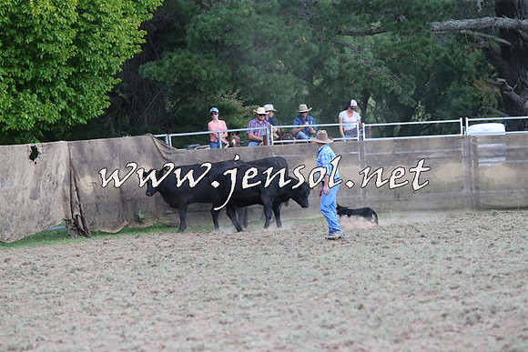 Taralga2015_1216