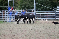 Taralga2015_1199