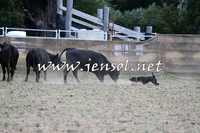 Taralga2015_1253