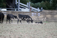 Taralga2015_1259