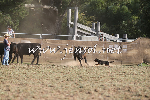 Taralga2015_1330