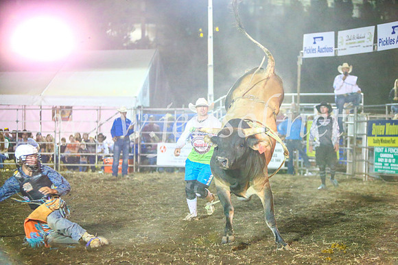 QeanbeyanRodeo2017_4700