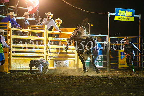 QueanbeyanRodeo2017_4047