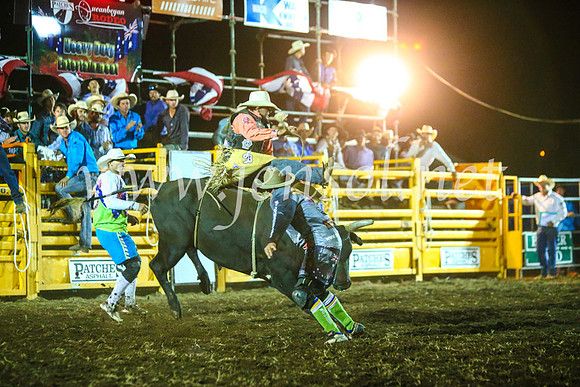 QueanbeyanRodeo2017_4019