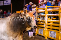 QeanbeyanRodeo2017_4893