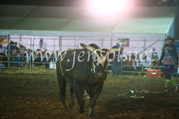 QeanbeyanRodeo2017_4812