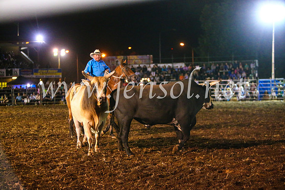 QeanbeyanRodeo2017_4916