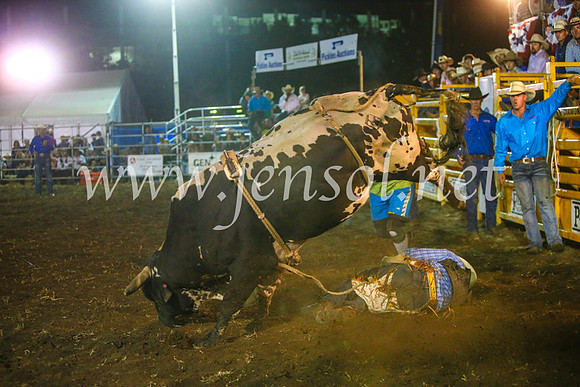 QeanbeyanRodeo2017_4998