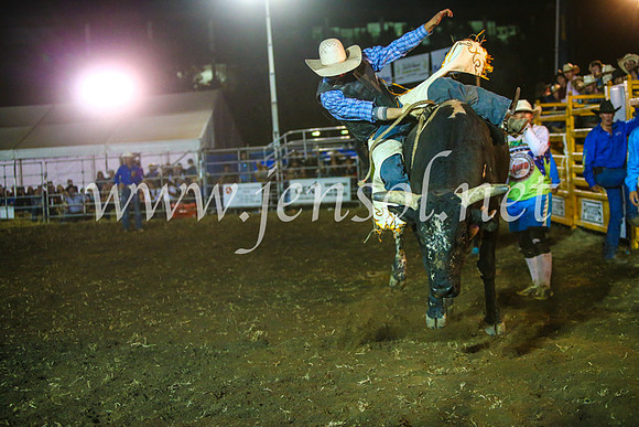 QeanbeyanRodeo2017_5004