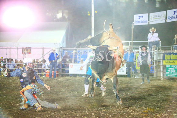 QueanbeyanRodeo2017_4434
